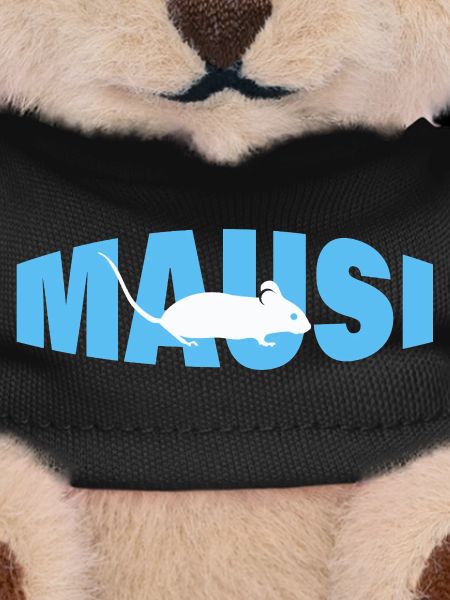 Mausi