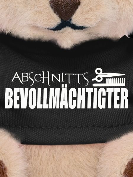 REPRÉSENTANT DE SECTION