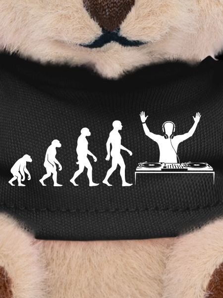Evolution zum DJ mit Turntable