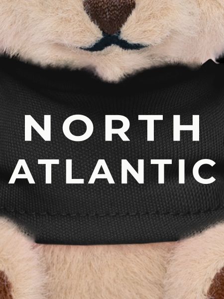 NORTH ATLANTIC | Wild Authenticity