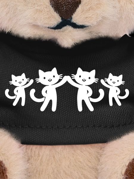 Cat Team