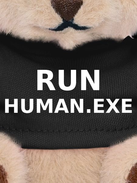 Run Human.exe
