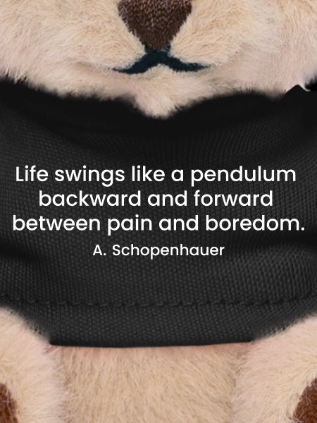 Schopenhauer sarcastic quote