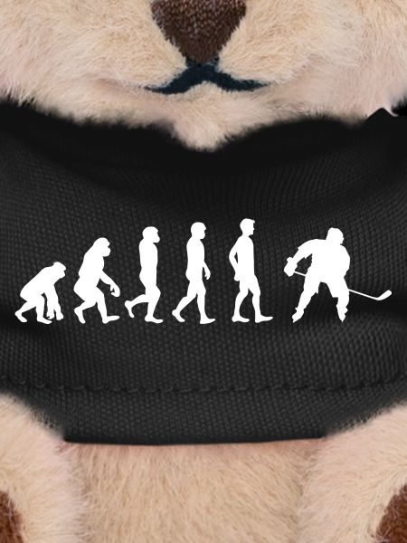Evolution to Hockey