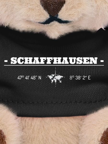 Coordinates Schaffhausen