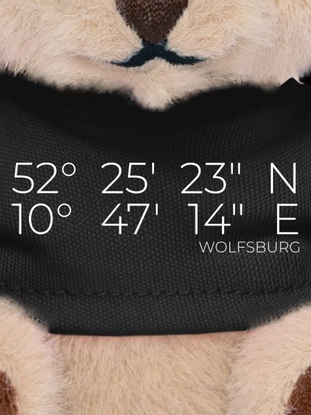 Coordonnées Wolfsburg