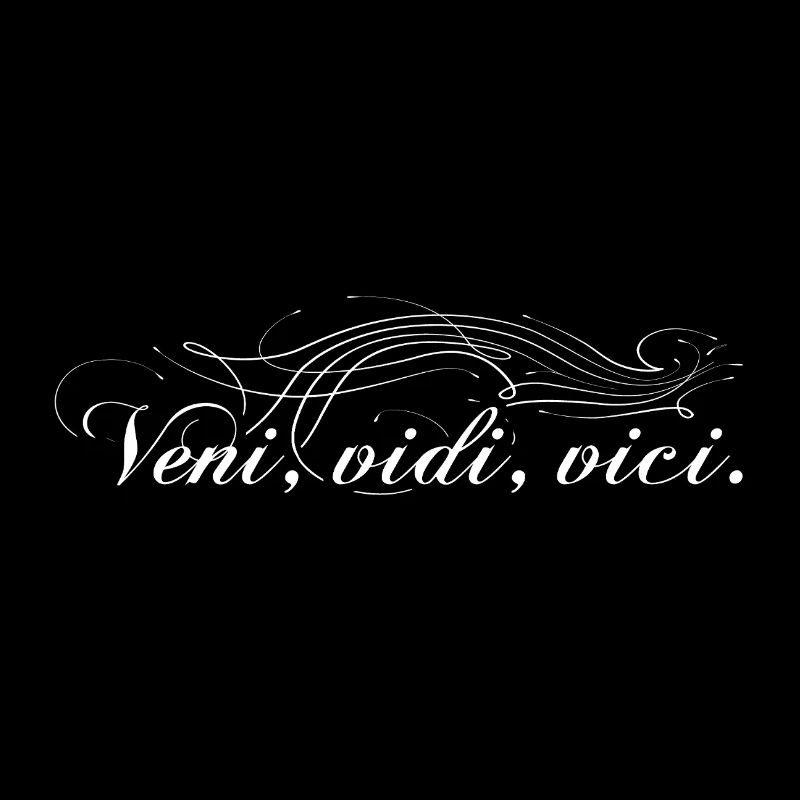 Veni vidi vici