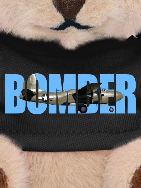 Bomber A-20 Havoc