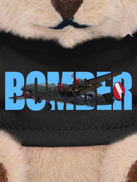Bomber B-24 Liberator