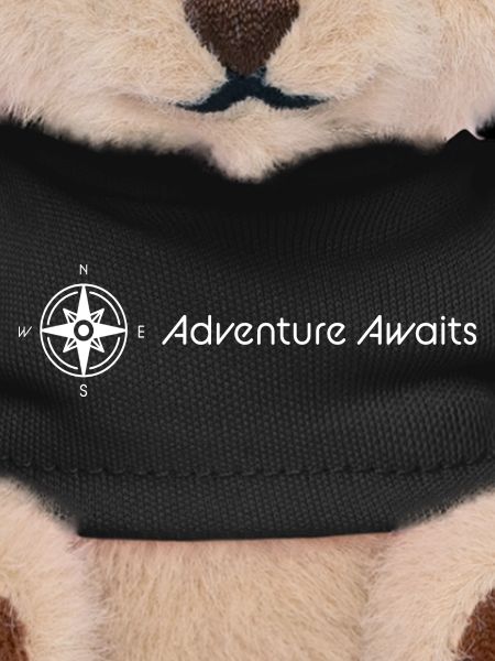 Adventure Compass Design