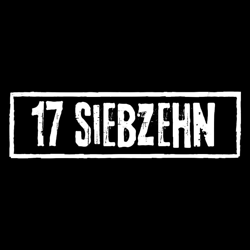 17 Dix-sept ans de punk rock