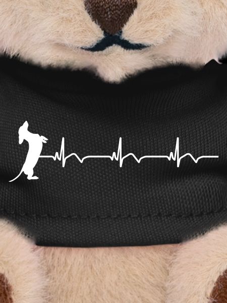 Dachshund ECG Heartbeat