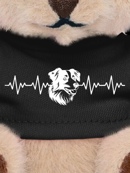 Border Collie ECG Heartbeat