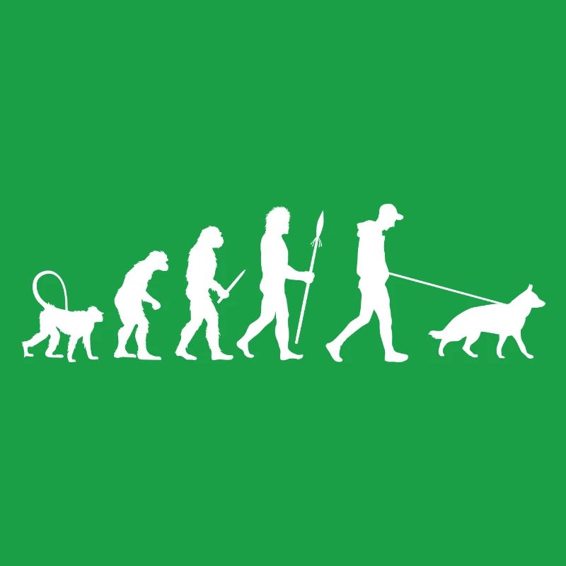 Evolution Deutscher Schäferhund