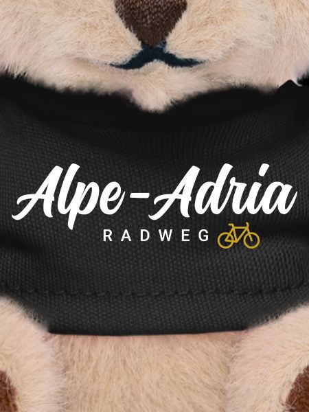 Alpe Adria Cycle Path