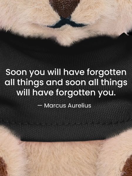 Marcus Aurelius Stoic Quote design