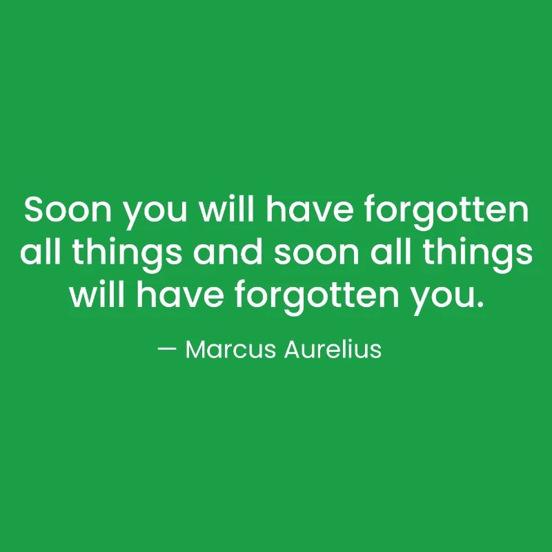 Marcus Aurelius Stoic Quote Design