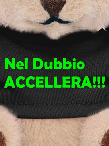 Nel_Dubbio_Accellera!!!