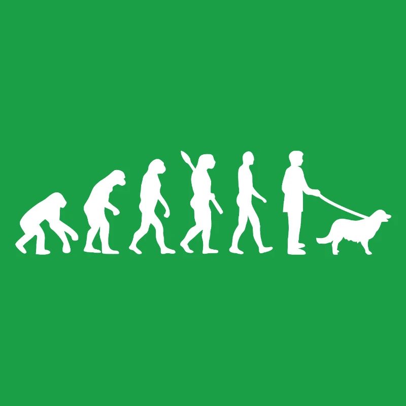 Evolution to Dog Walker