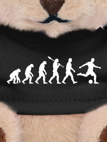 Evolution Fußball