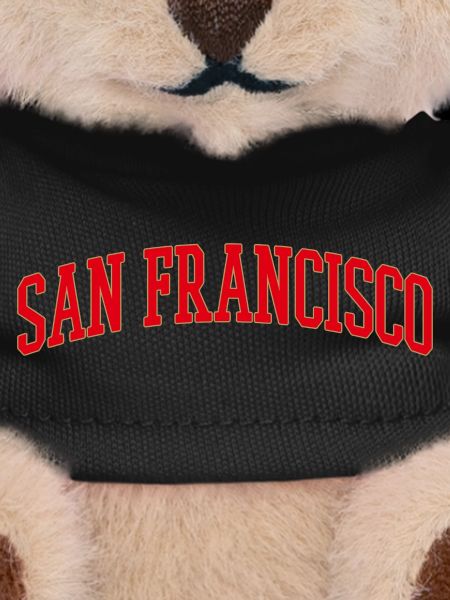 San Francisco Arch Lettering