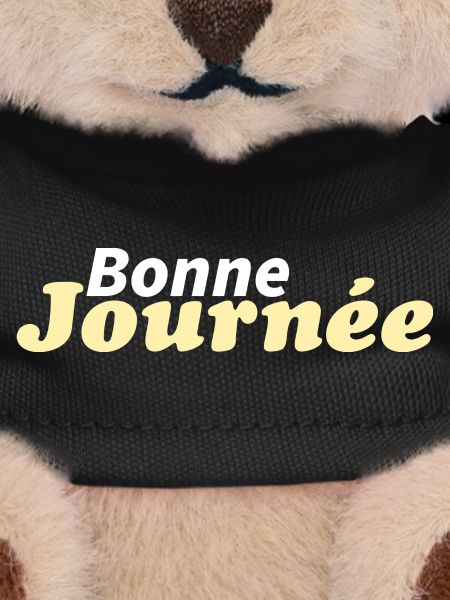 bonne journée