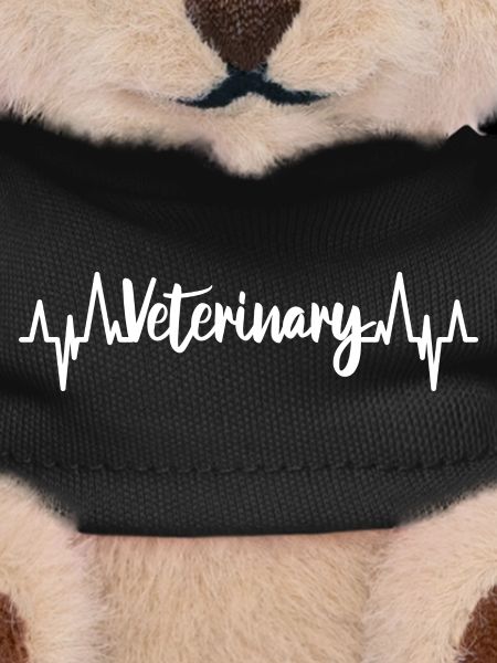 Veterinarian Heartbeat