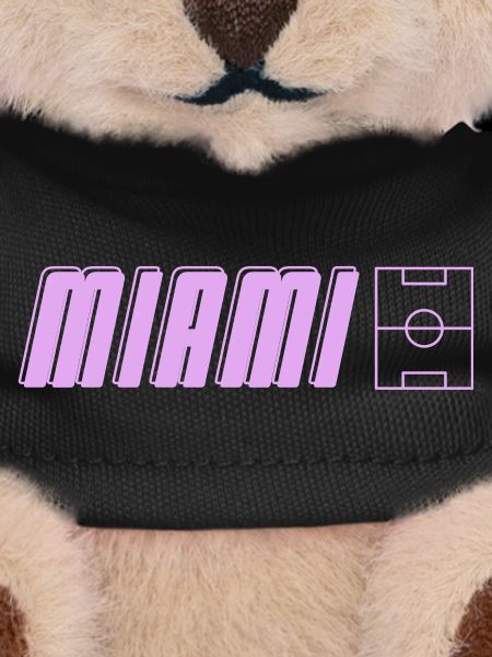 Miami Soccer Passion