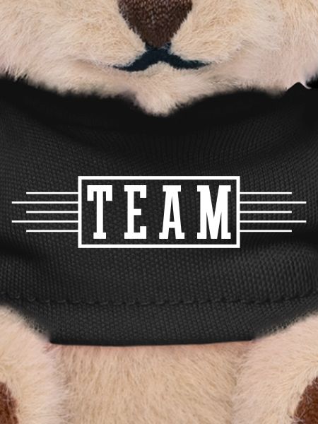 Team Stroke