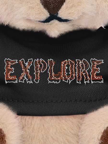 explore
