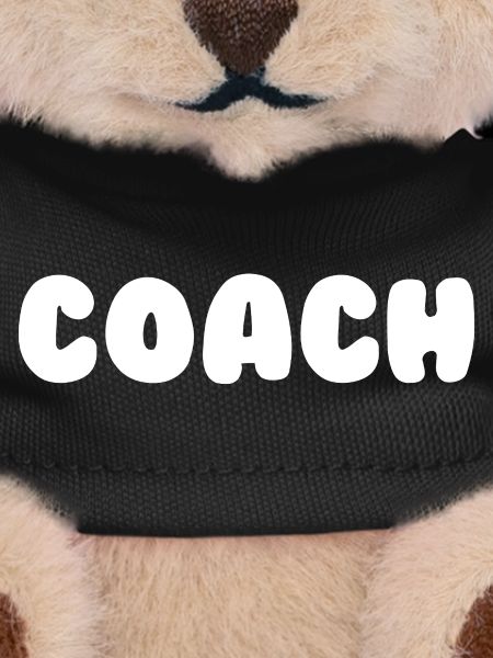 Coach Trainer Sport