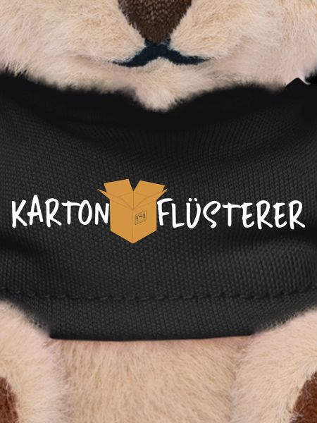 Karton Flüsterer