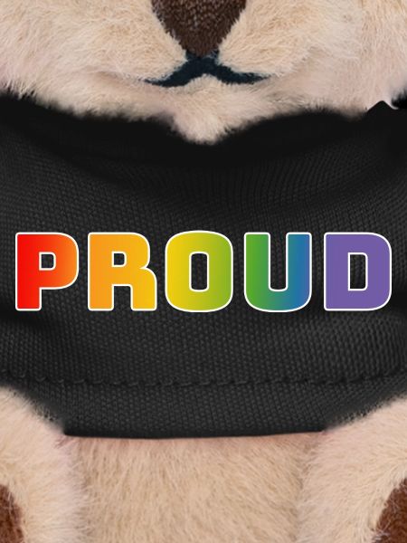 Rainbow proud white
