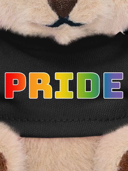Rainbow pride blanc