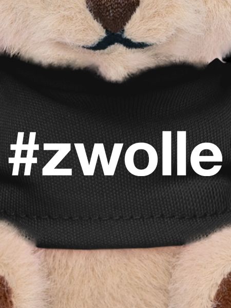 ZWOLLE, Netherlands, Netherlands