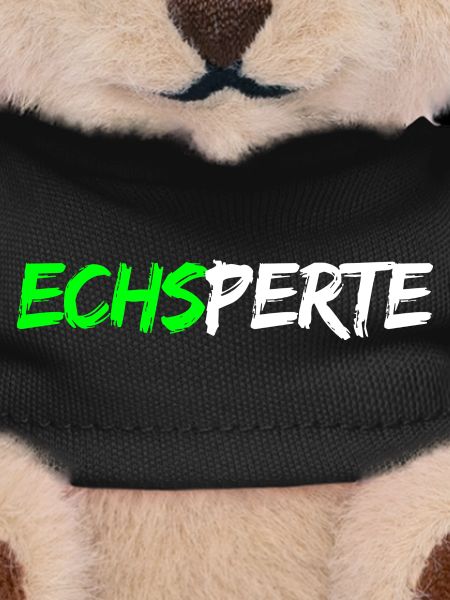 Echsperte - expert, funny pun