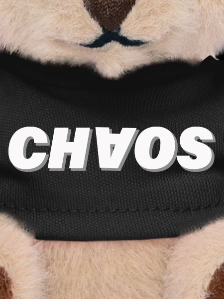 CHAOS