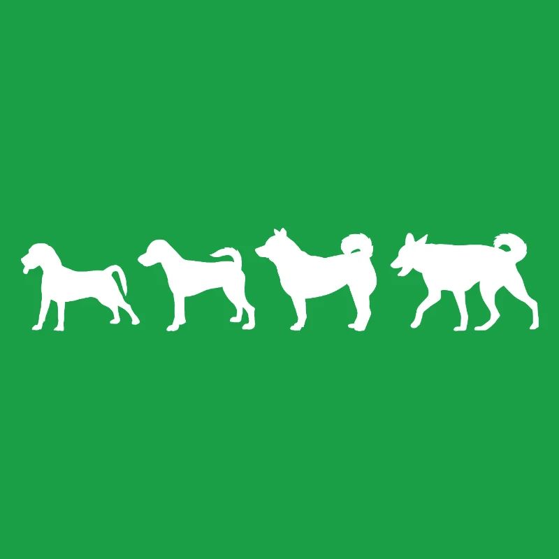 Hund Evolution