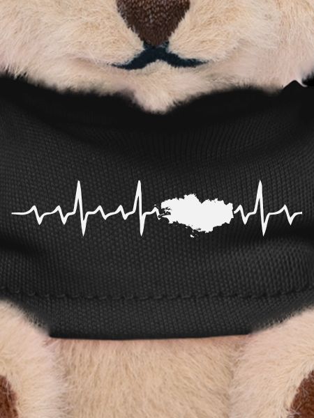 Breton ECG electrocardiogram