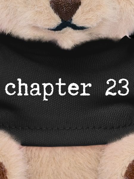 chapter 23 Birthday