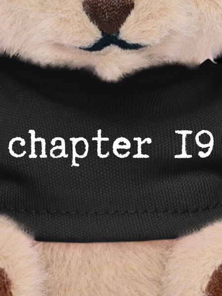 chapter 19 Birthday