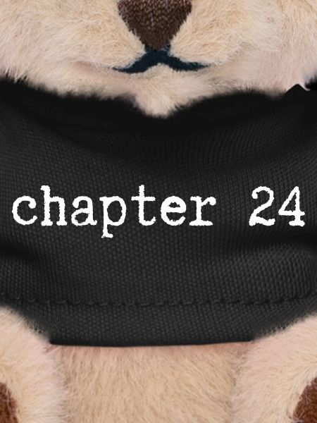 chapter 24 Birthday