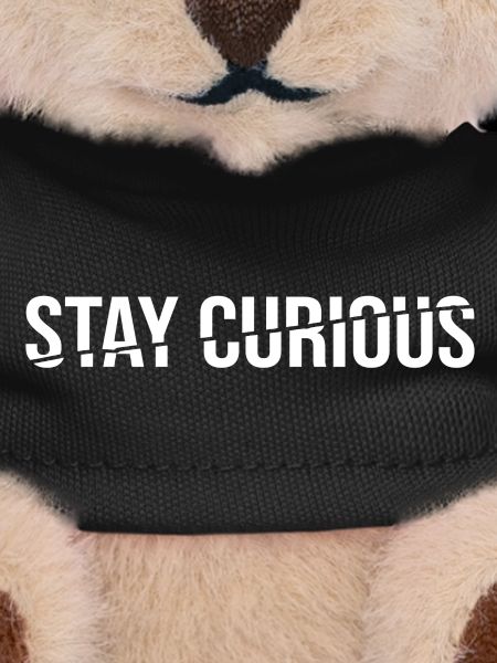 Stay Curious - Statement Saying