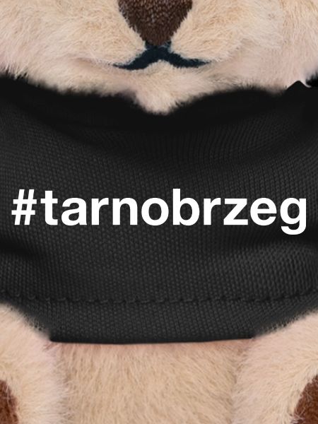 Tarnobrzeg Pologne