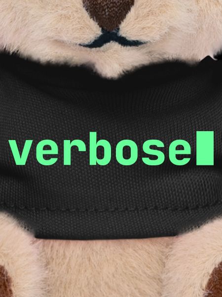 Feeling Verbose | Developer mood