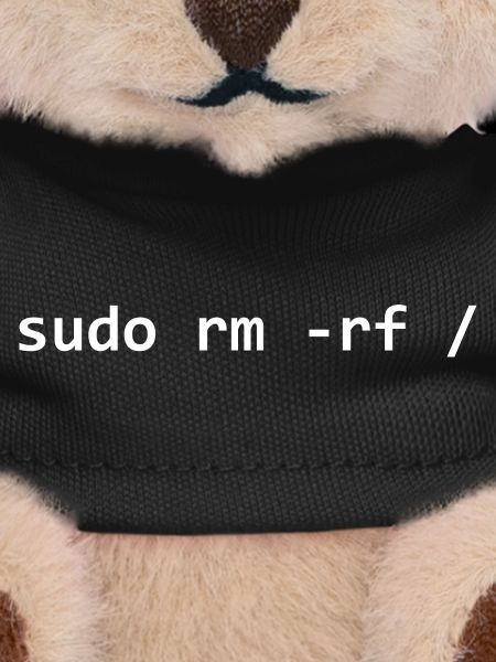 Sudo rm rf
