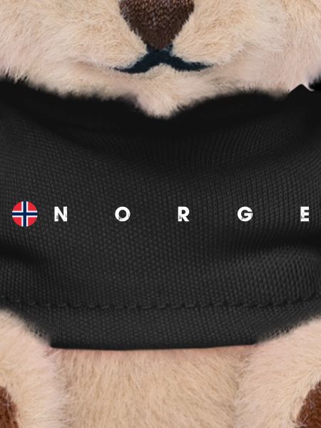 Norge flag
