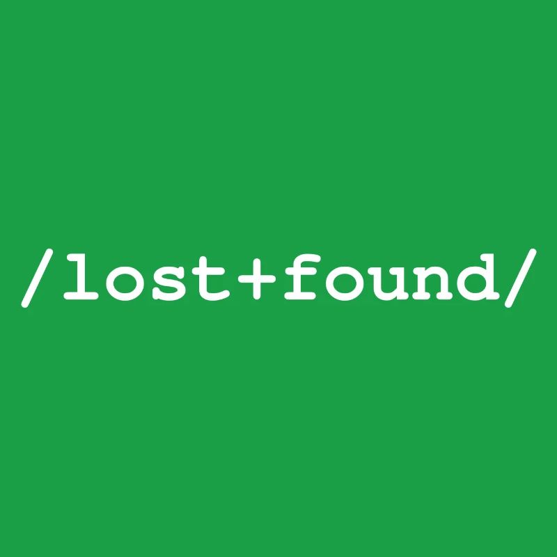 Lost+Found - /lost+found/ folder