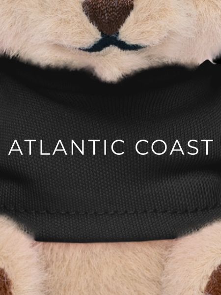 ATLANTIC COAST - Minimal Style