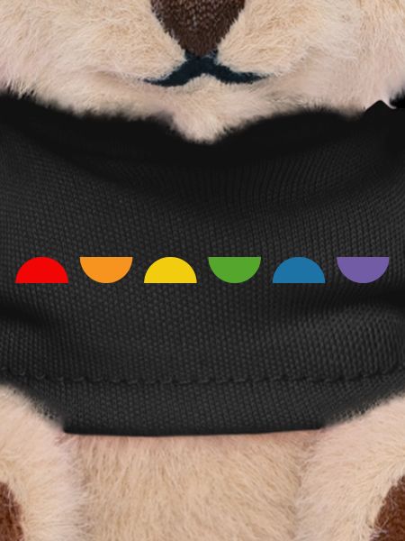 Rainbow Semicircle